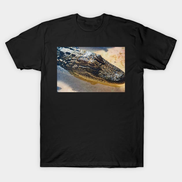 This is a Alligator T-Shirt by KensLensDesigns